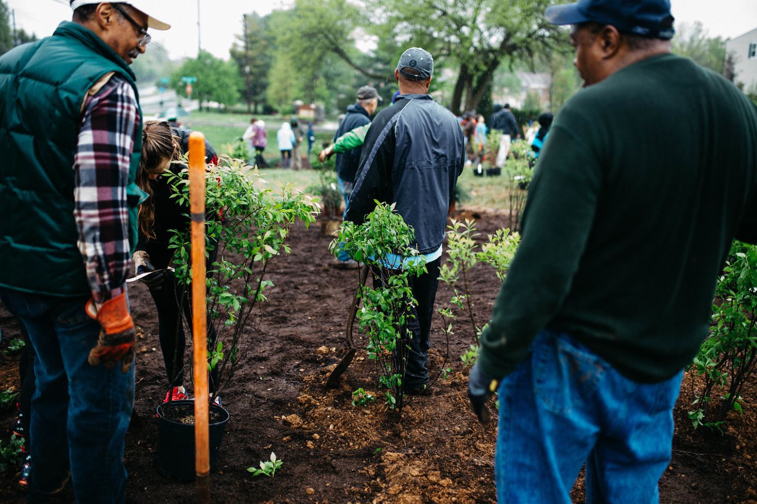 Volunteers with shrubbery (photo by Caitlin Moulton of Caitlin Marie Photography)